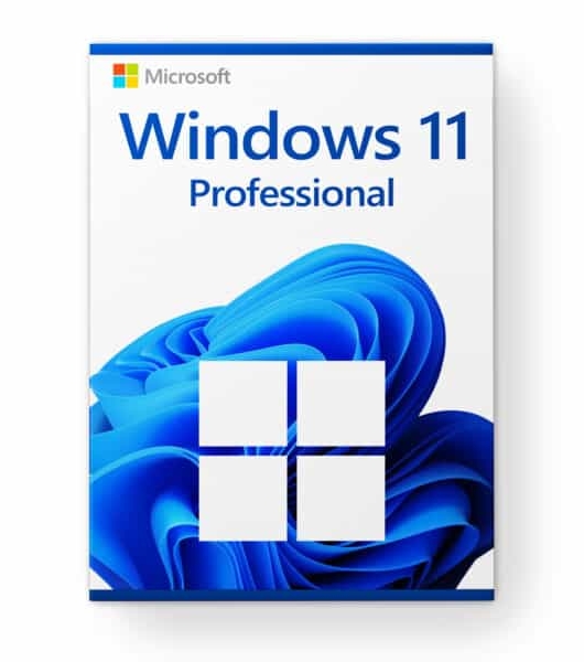 Windows 11 Professional