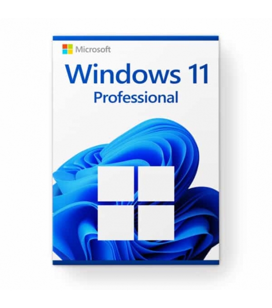 Windows 11 Professional